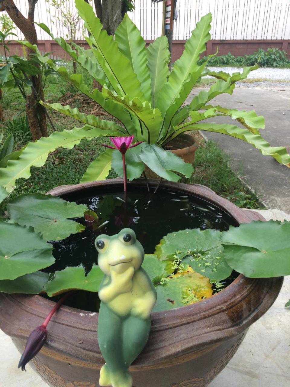Lotus Place Sukhothai Buitenkant foto